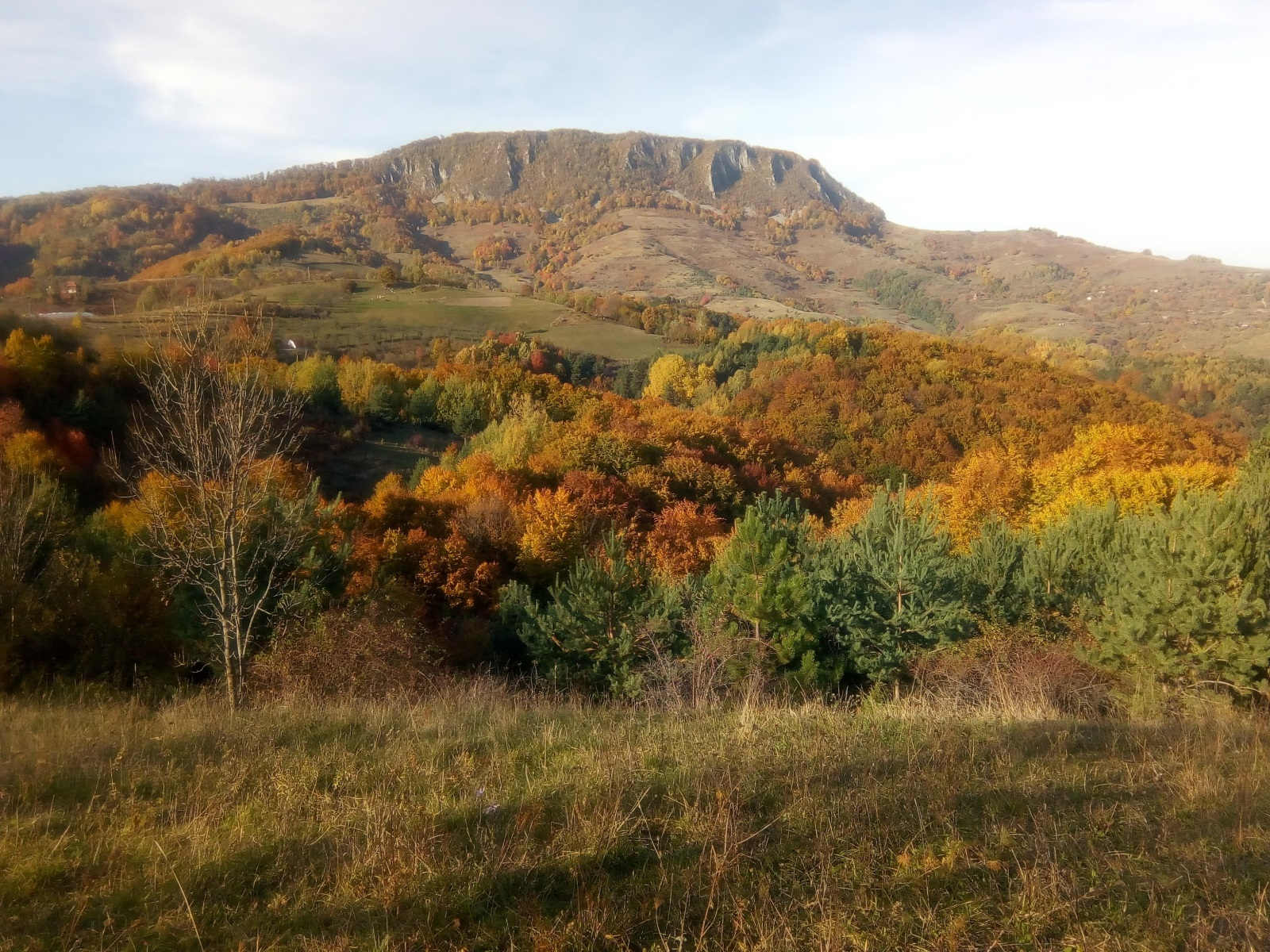 meditatie-dumbrava-stramba-autumn meditatie-dumbrava-stramba-autumn