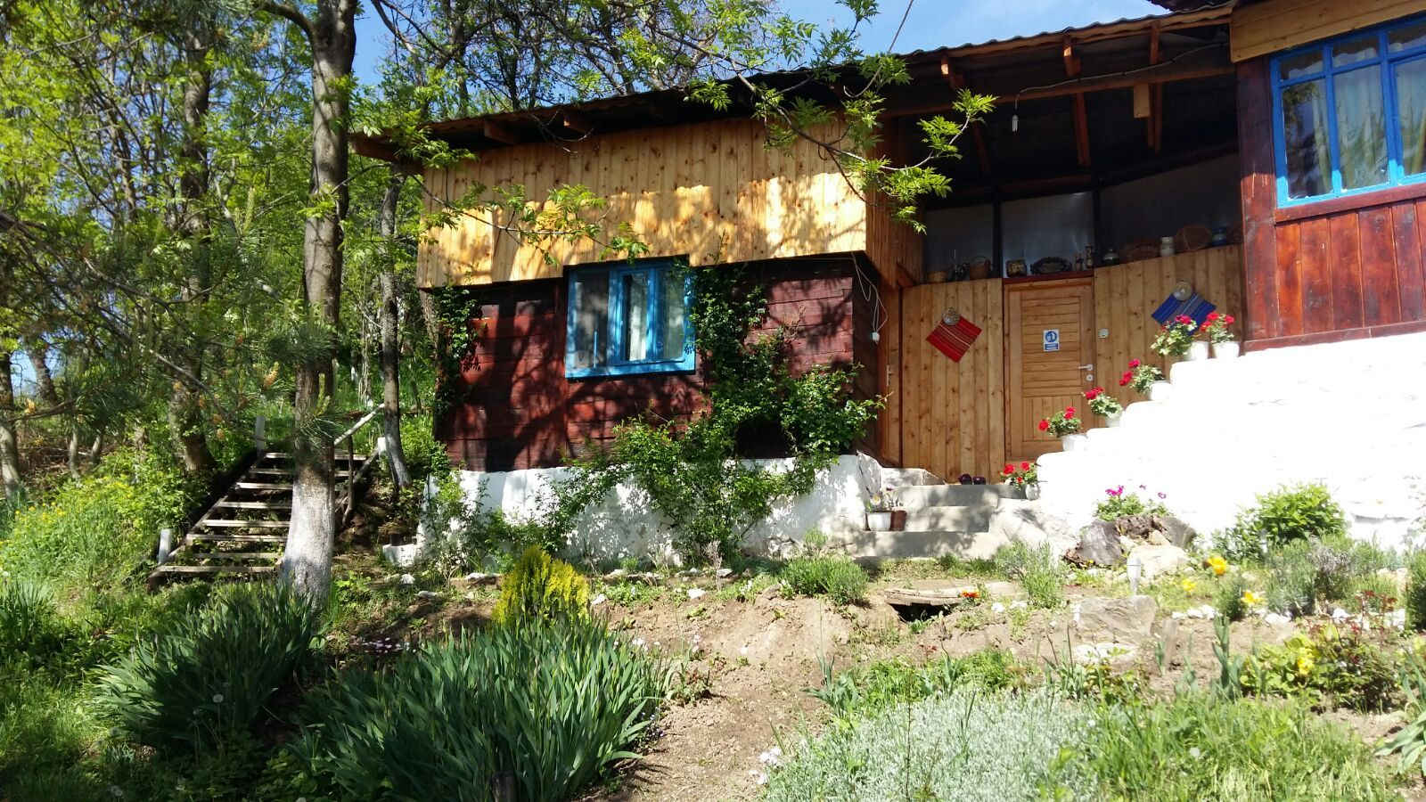 meditatie-dumbrava-women-house meditatie-dumbrava-women-house