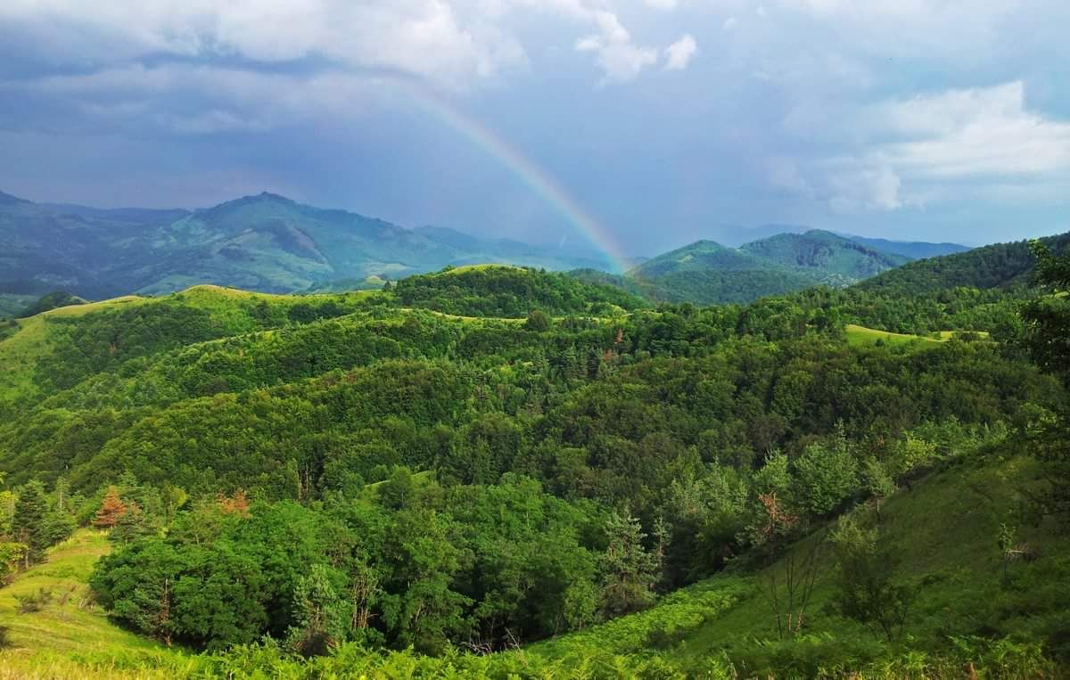 meditatie-dumbrava-rainbow meditatie-dumbrava-rainbow